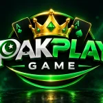 PAKPLAY Game