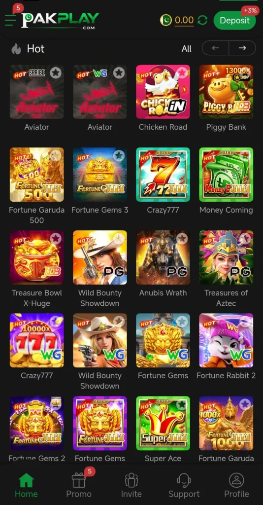 PAKPLAY Game